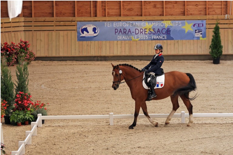 Equitation - Handisport