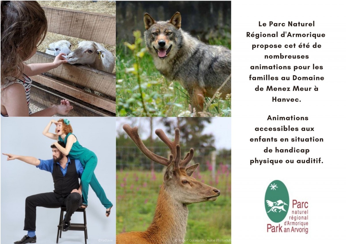Partez à la rencontre des animaux de la ferme, du loup, du cerf... Animations en LSF cet été au Domaine de Menez Meur !